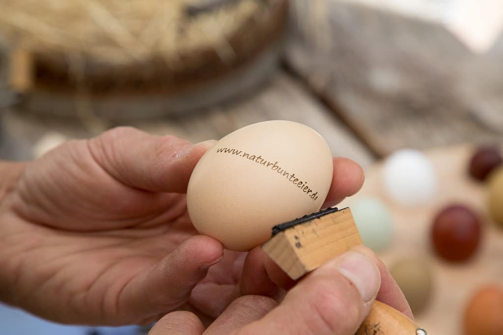Köln Fotograf - ein buntes Ei erhält einen Stempel
