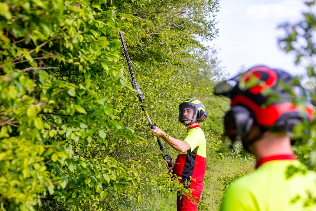 Firmenporträt: Eine Hecke wird geschnitten