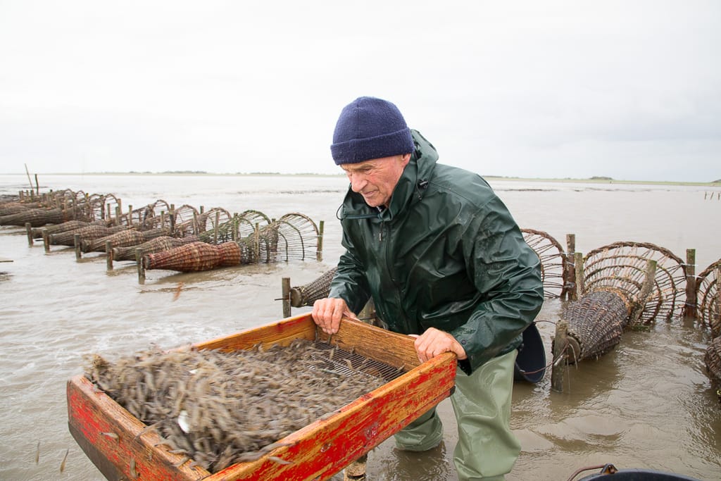 Close up eines Mannes bei der ARbeit