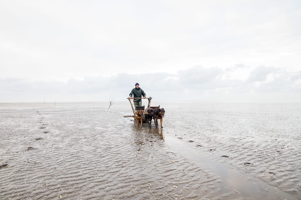 Business Fotografie für hochwertige Magazine und Zeitschriften