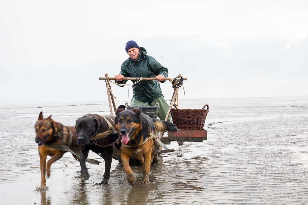 Business Fotografie für hochwertige Magazine und Zeitschriften