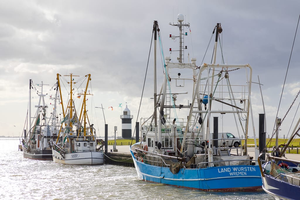 Ein Hafen im Norden. Viele grosse Boote sind zu sehen.