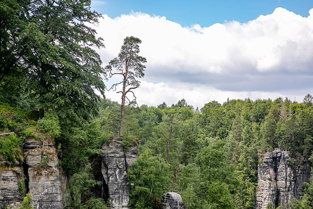 Lifestyle Fotografie in der Sächsischen Schweiz.