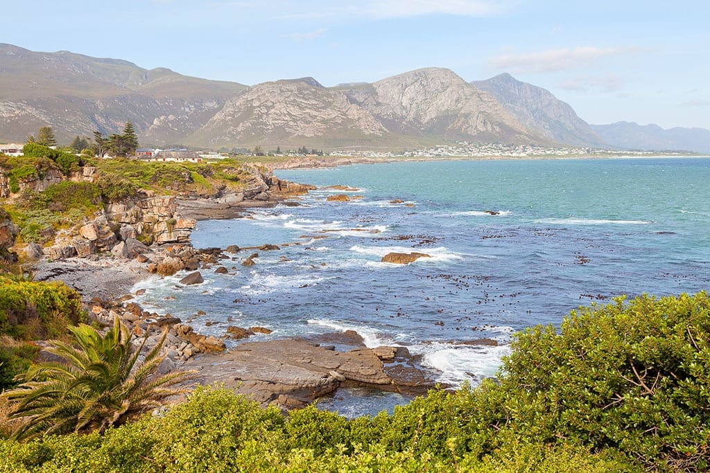 Gartenporträt in Südafrika bei Sonnenlicht mit lebendigen Farben und Tiefe