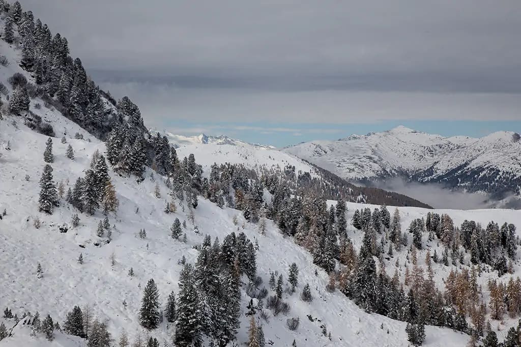 Wohnen und Garten - Nockberge