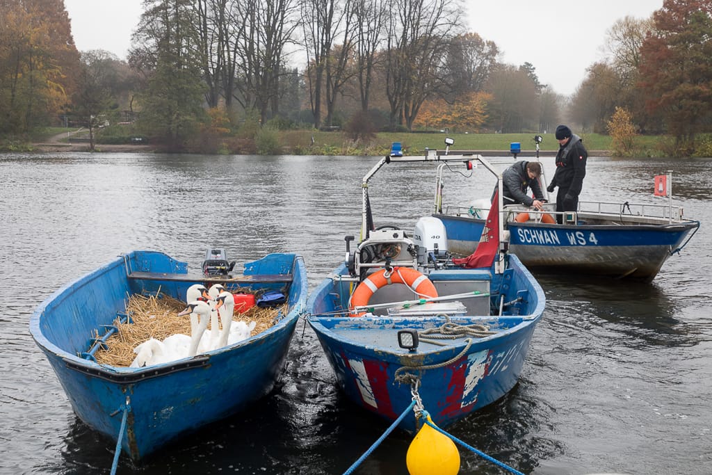 Lifestyle Fotografie Köln - Dokumentation für ein Magazin