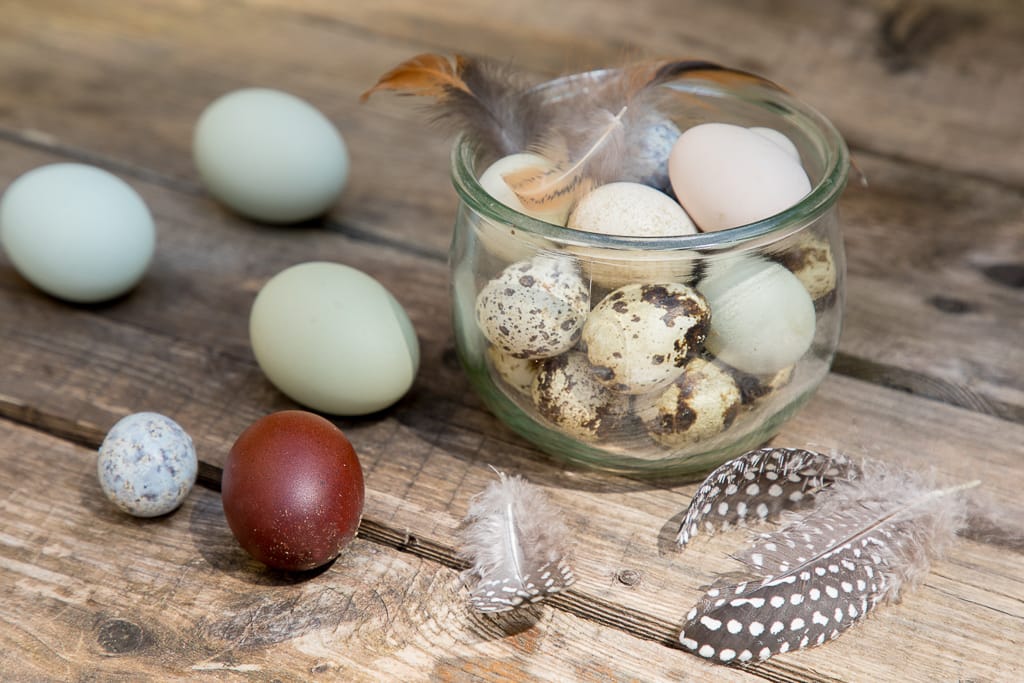 Stilllife Dekoraktion