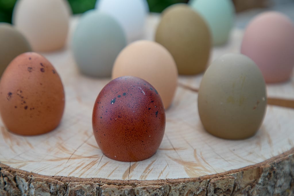 Bunte Eier von der Seite
