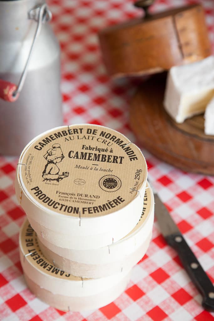 Food Aufnahme von einem leckeren Käse