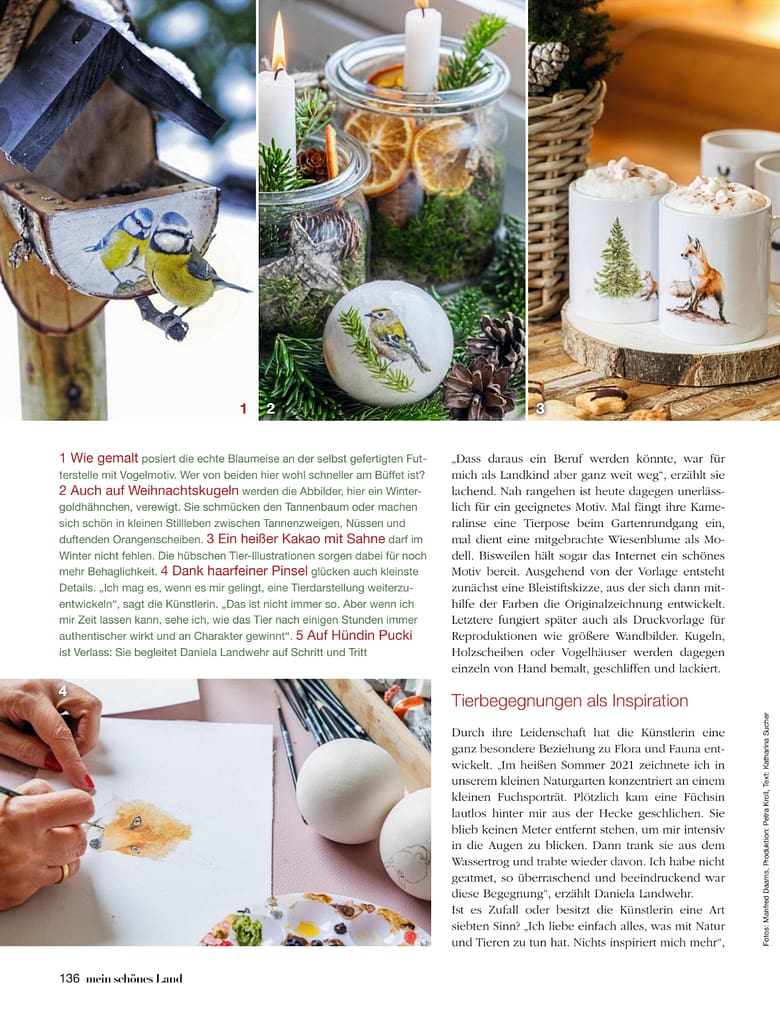 Viele verschiedene Bilder der Zeitschrift