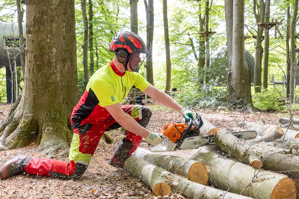Lennart schneidet einen Baum